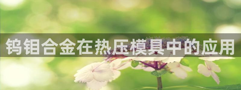 易倍申片说明书：钨钼合金在热压模具中的应用