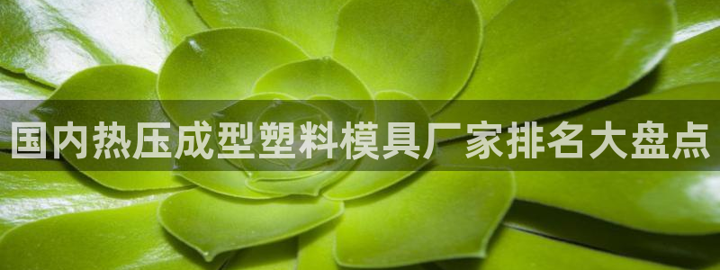 易倍申效果怎么样