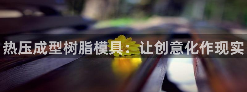 易倍单词软件：热压成型树脂模具：让创意化作现实