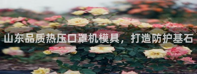 易倍申厂家