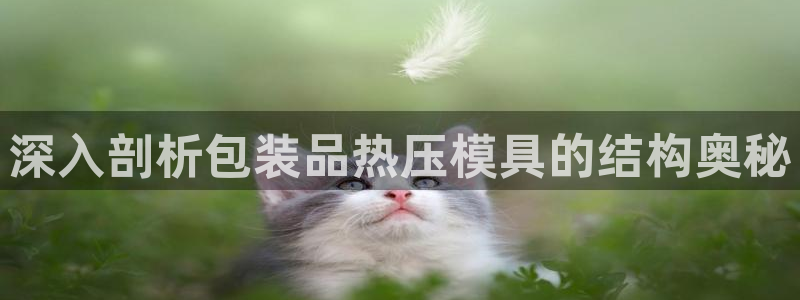 易倍纤谷物粉效果好吗