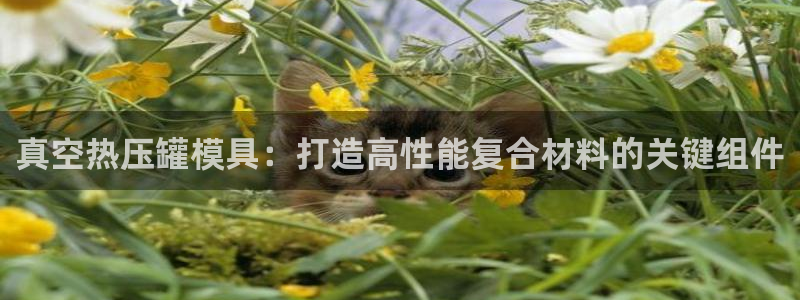 易倍全站下载
