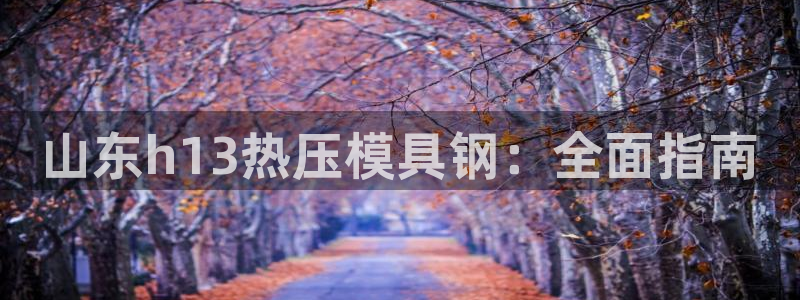 emc备份软件