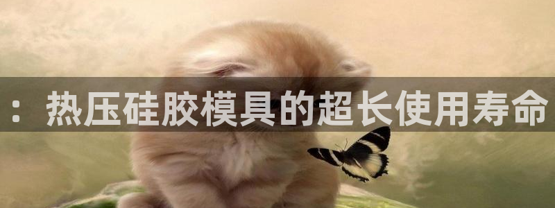 易倍纤官网