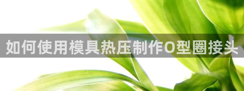 emc易倍登录
