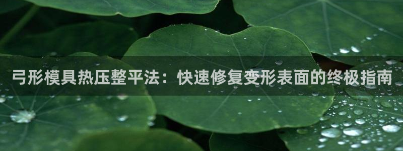 易倍全站下载