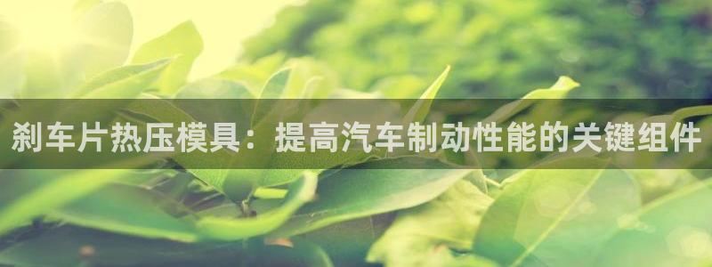 emc参数：刹车片热压模具：提高汽车制动性能的关键组件
