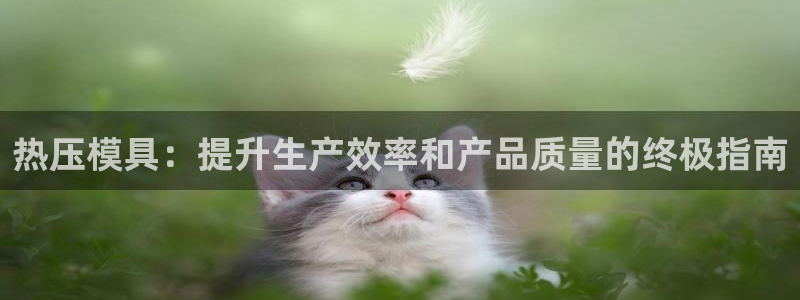 易倍申竞品：热压模具：提升生产效率和产品质量的终极指南
