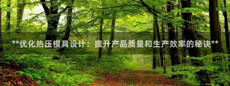 易倍纤价格：**优化热压模具设计：提升产品质量和生产效率