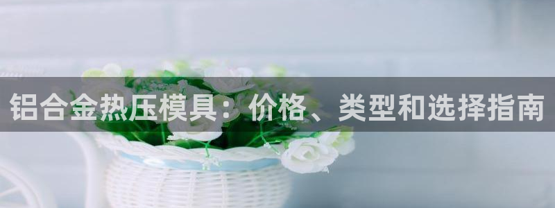 易倍申厂家