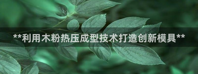 易倍纤代餐粉能减肥吗：**利用木粉热压成型技术打造创新模