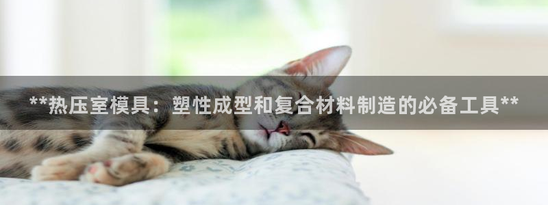 emc频率：**热压室模具：塑性成型和复合材料制造的必备