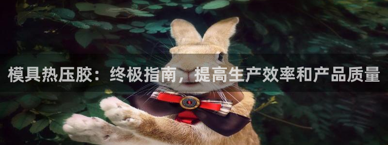 易倍达科技有限公司代运营：模具热压胶：终极指南，提高生产