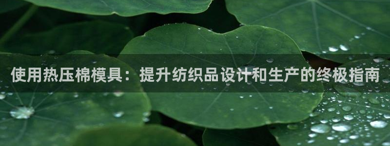 emc易贝体育怎么样：使用热压棉模具：提升纺织品设计和生