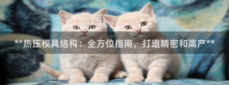 emc下载ios：**热压模具结构：全方位指南，打造精密