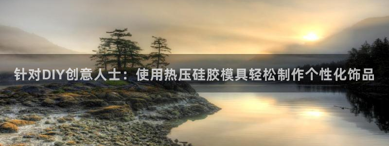 易倍申是进口药吗：针对DIY创意人士：使用热压硅胶模具轻
