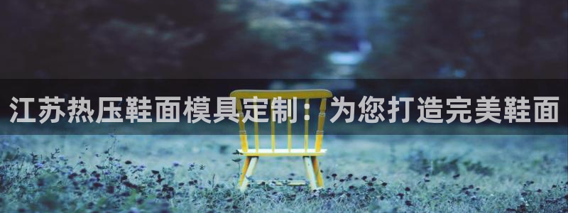emc易倍app官网下载：江苏热压鞋面模具定制：为您打造