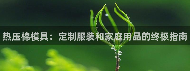 emc网页版：热压棉模具：定制服装和家庭用品的终极指南