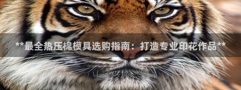 易倍申多少钱一盒：**最全热压棉模具选购指南：打造专业印