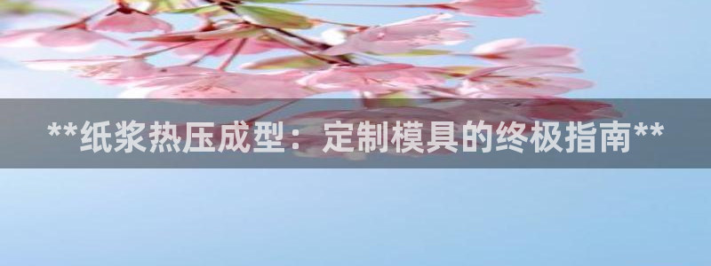 易倍申竞品：**纸浆热压成型：定制模具的终极指南**