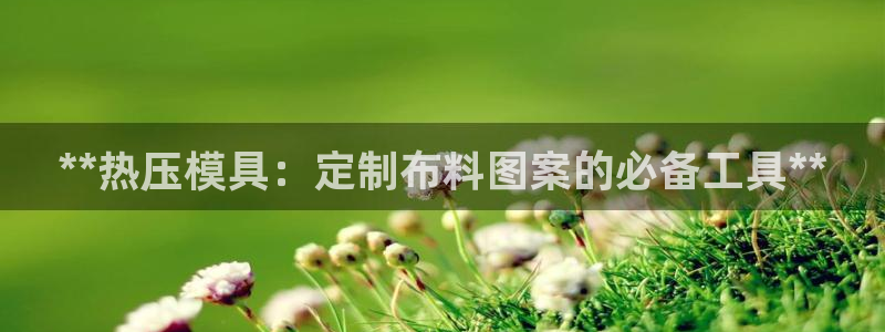 易倍达科技有限公司怎么样：**热压模具：定制布料图案的必