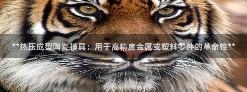 emc倍频干扰：**热压成型陶瓷模具：用于高精度金属或塑