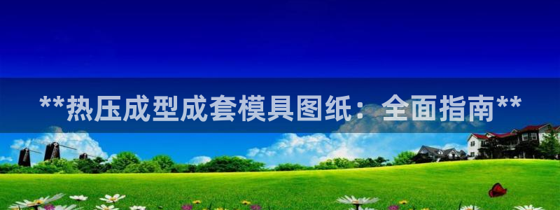 易倍申片说明书：**热压成型成套模具图纸：全面指南**