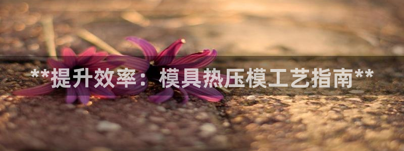 emc测试频率范围：**提升效率：模具热压模工艺指南**