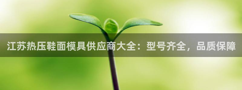 emc高频比低频好改：江苏热压鞋面模具供应商大全：型号齐