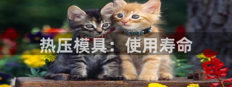 emc易倍穆里尼奥