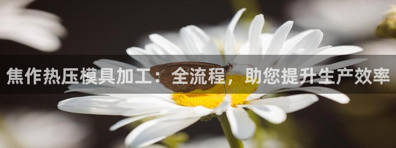 emc app下载：焦作热压模具加工：全流程，助您提升生