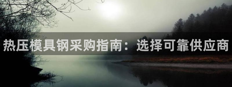易倍单词软件：热压模具钢采购指南：选择可靠供应商