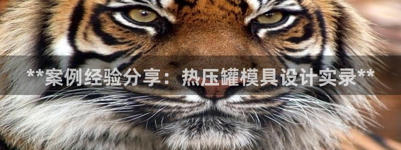 易倍单词平台