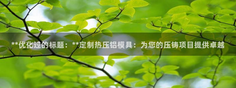 易倍英语官方网站登录：**优化过的标题：**定制热压铝模