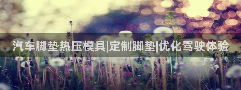 emc参数：汽车脚垫热压模具|定制脚垫|优化驾驶体验