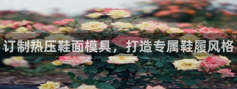 emc易倍平台