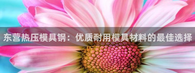 易倍纤减肥反弹不：东营热压模具钢：优质耐用模具材料的最佳