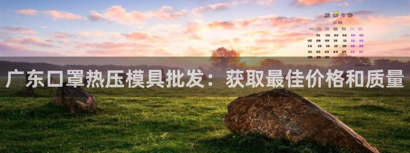 易倍纤代餐粉能减肥吗：广东口罩热压模具批发：获取最佳价格