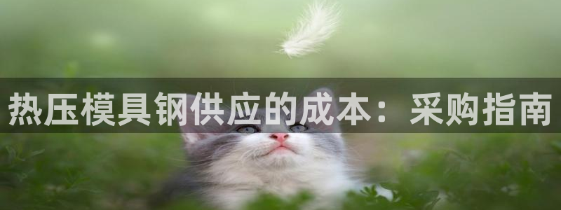 易倍纤瘦身三部曲的价格