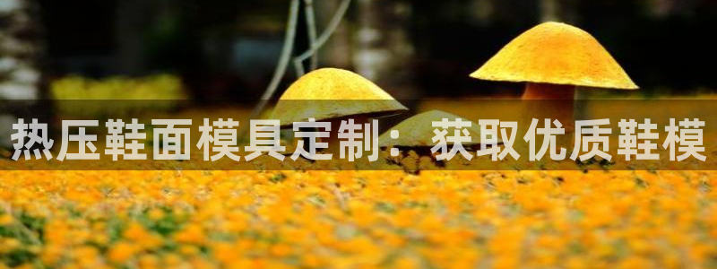 杭州易倍达