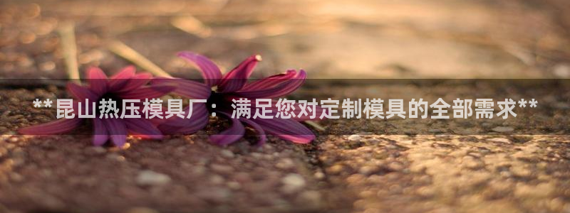emc易倍官方下载：**昆山热压模具厂：满足您对定制模具