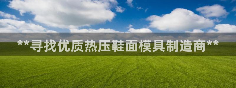 emc服务器是干啥的：**寻找优质热压鞋面模具制造商**