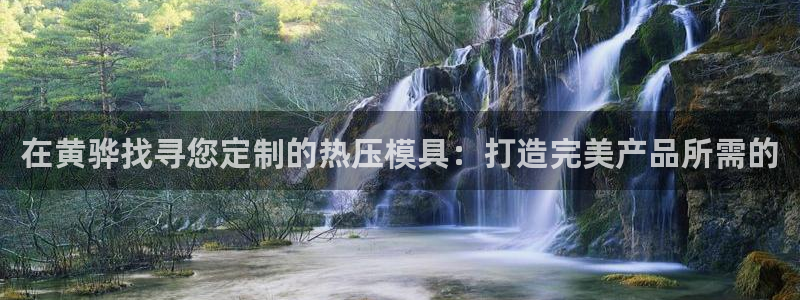 易倍网络技术有限公司官网：在黄骅找寻您定制的热压模具：打