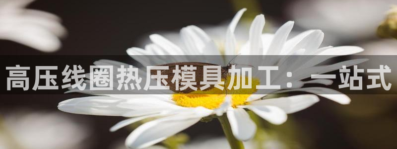 易倍emc网址