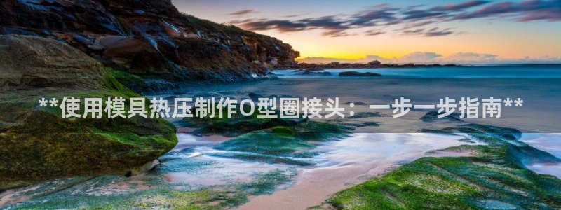 易倍单词官方网站