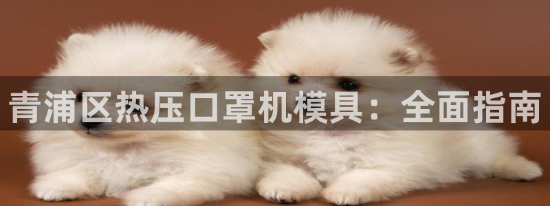 emc服务器是什么