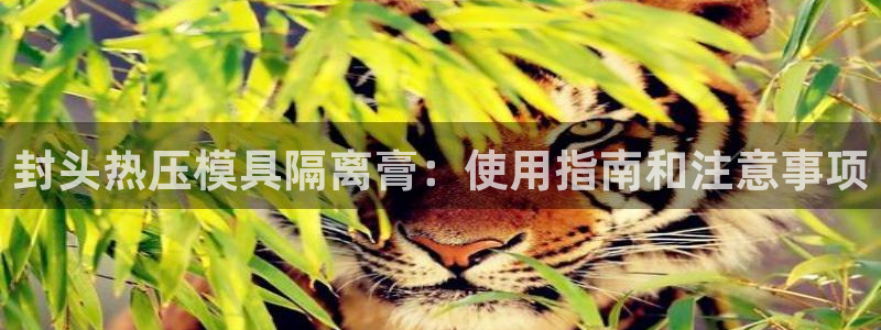 易倍纤官网