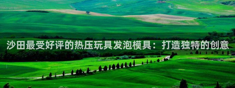 emc易倍官网登录入口：沙田最受好评的热压玩具发泡模具：