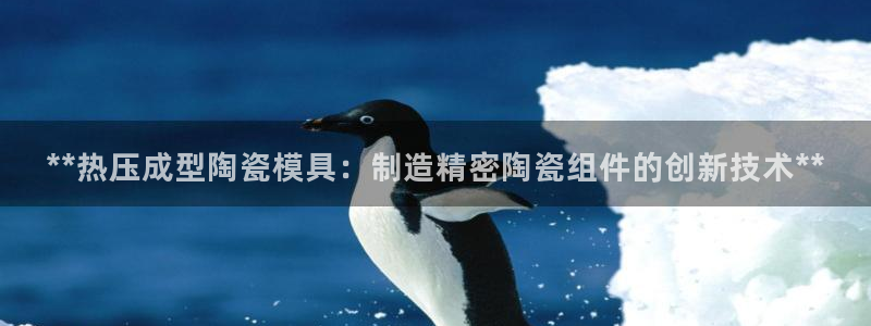 emc低频：**热压成型陶瓷模具：制造精密陶瓷组件的创新
