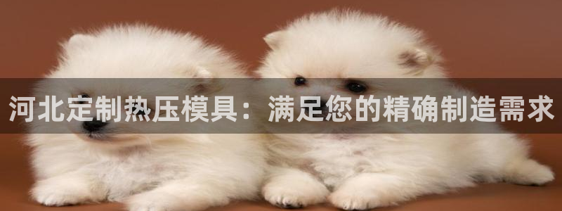 易倍申是进口药吗：河北定制热压模具：满足您的精确制造需求